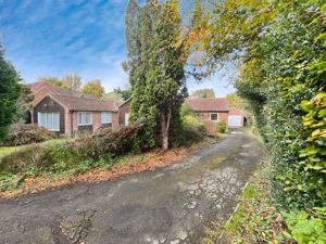 Photo 13- click for photo gallery